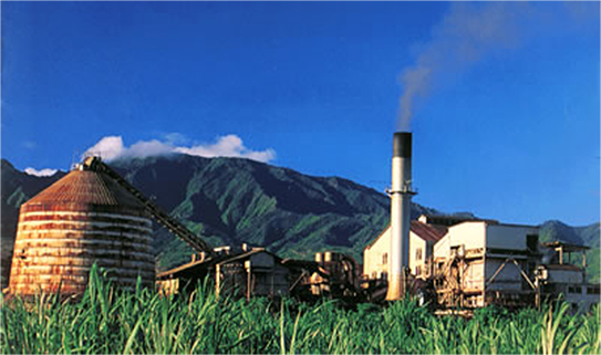 Waialua Sugar Company in 1996